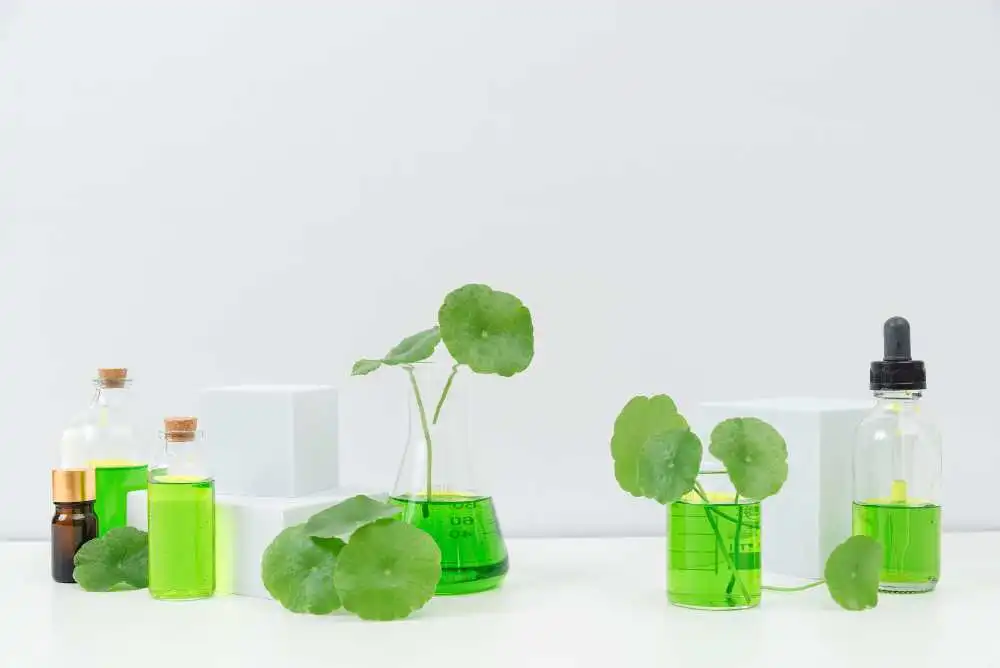 cosméticos con Centella asiatica