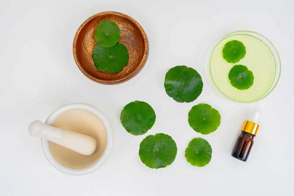 Centella asiatica para piel madura 