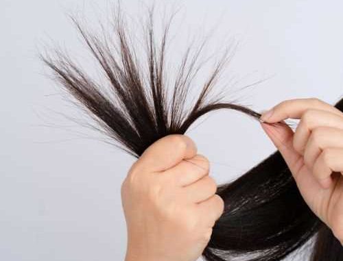 cabello seco y dañado