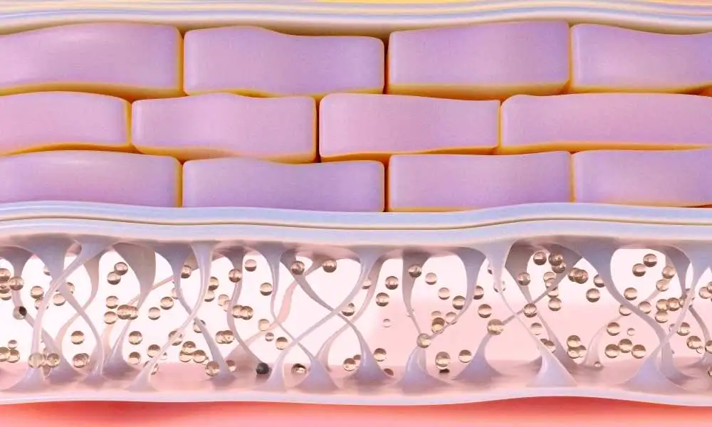 piel madura que se ha vuelto sensible